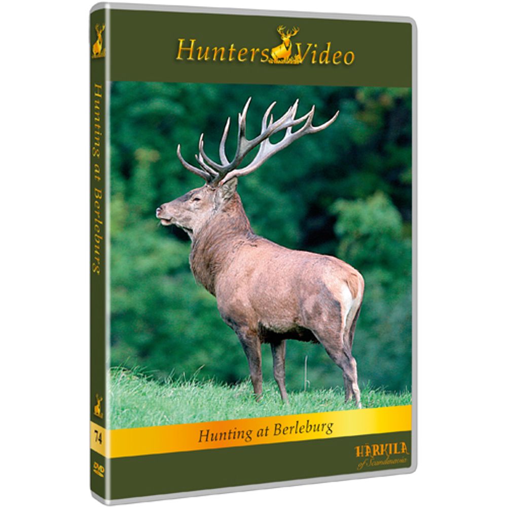 Hunting at Berleburg