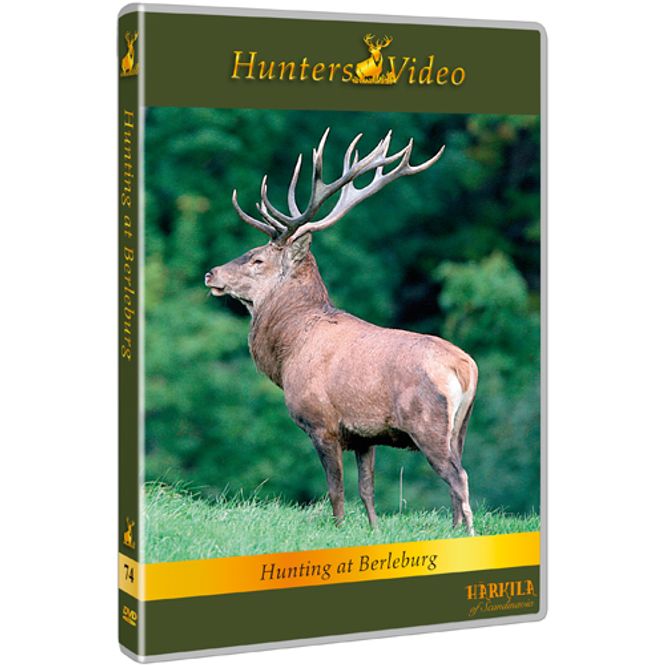 Hovedbilde Hunting at Berleburg