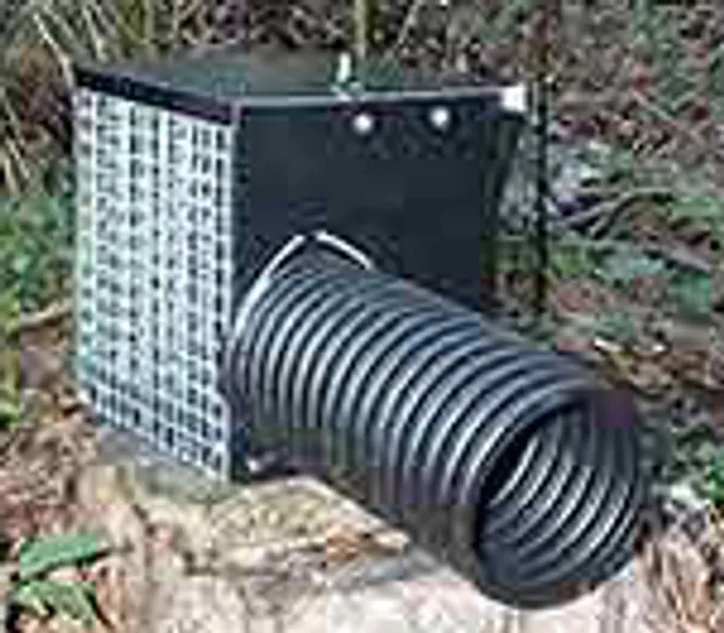 Hovedbilde Minkfelle 