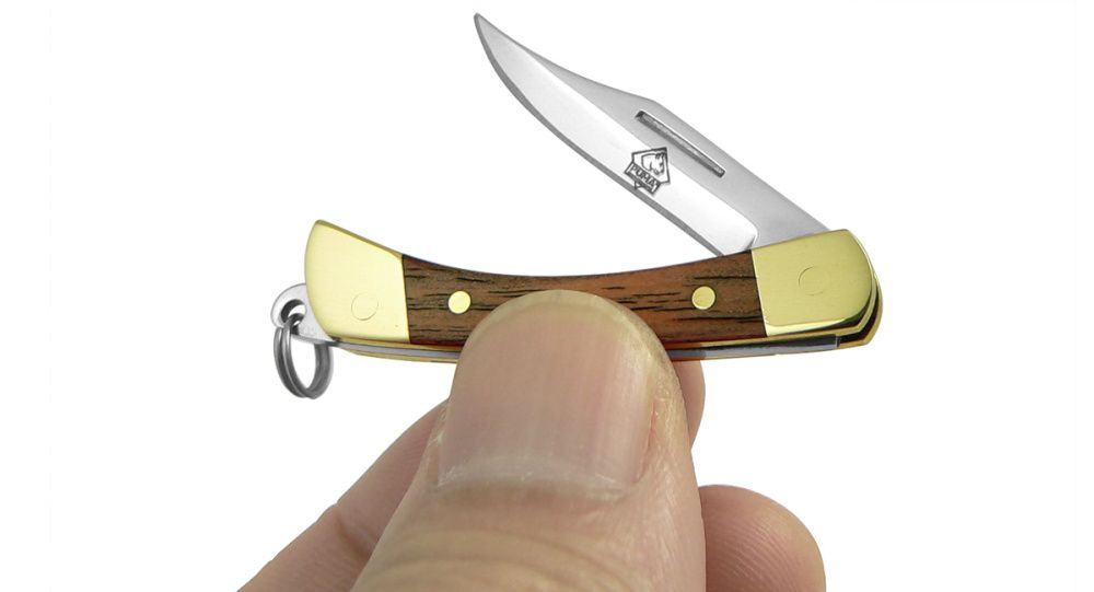 Puma mini game warden